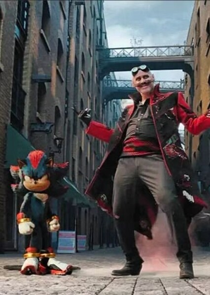 Dr. Eggman and Shadow the Hedgehog photo