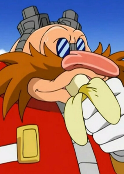 Dr. Eggman (Sonic X) photo