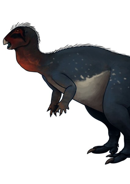 Draconyx