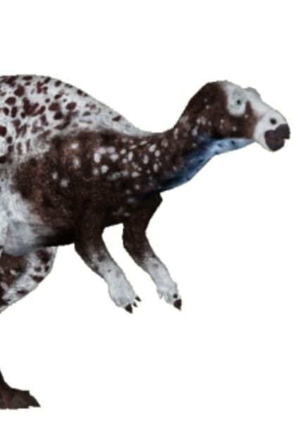 Draconyx photo