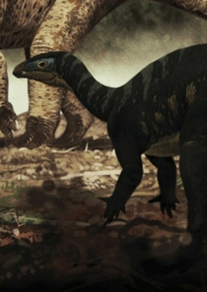 Draconyx photo