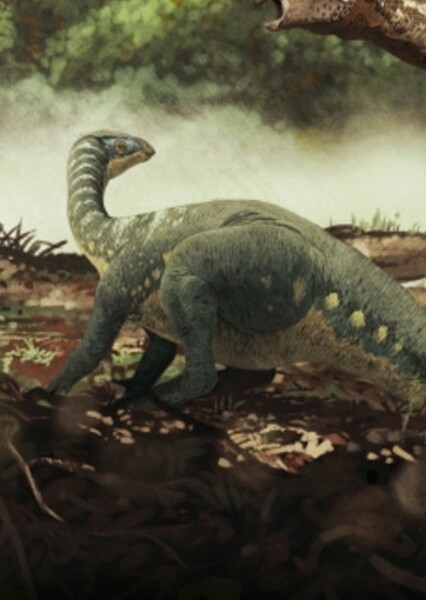 Draconyx photo