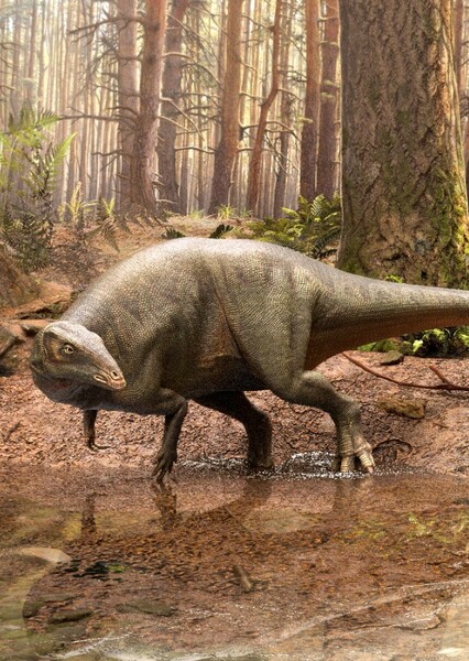 Draconyx photo