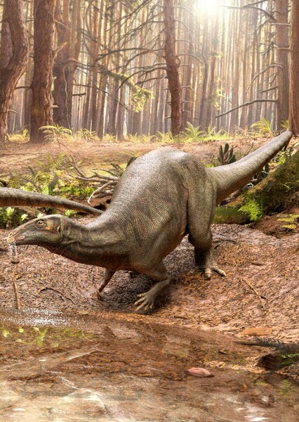 Draconyx photo