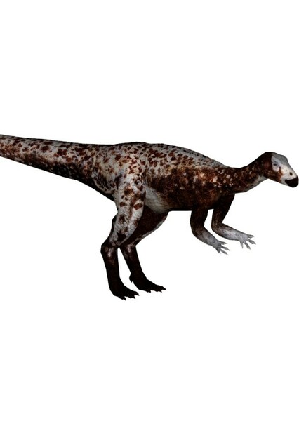Draconyx photo