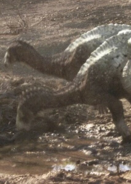 Draconyx photo