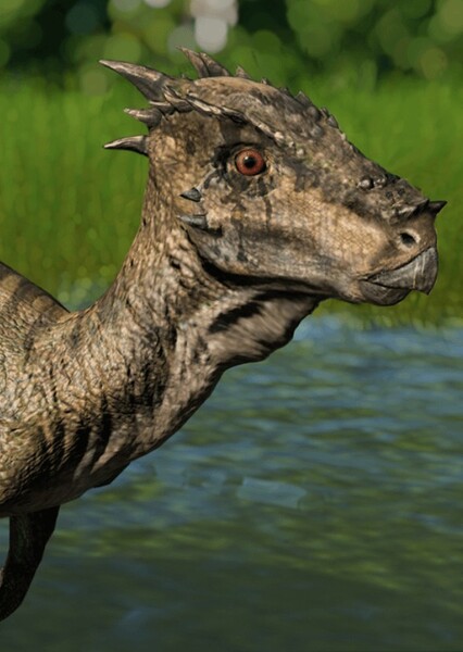 Dracorex photo