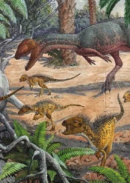 Dracovenator