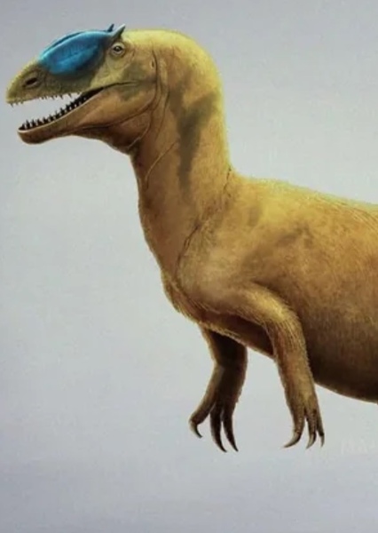 Dracovenator