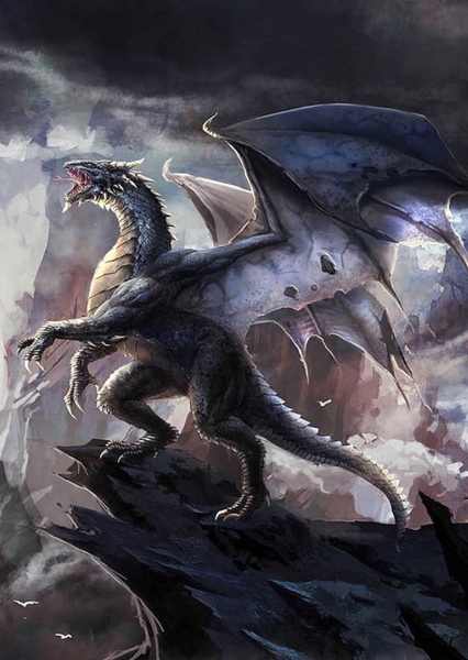 Dragon photo