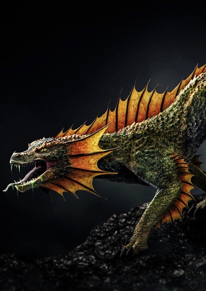 Dragon photo