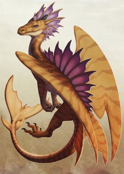 Dragon photo