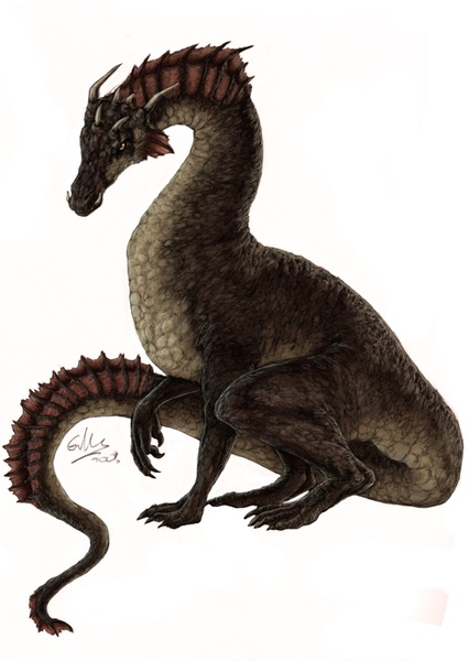 Dragon photo