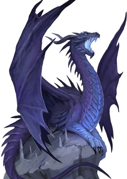 Dragon photo