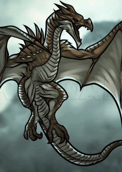 Dragon photo