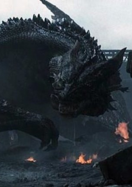 Dragon photo