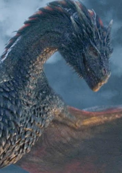 Dragon photo