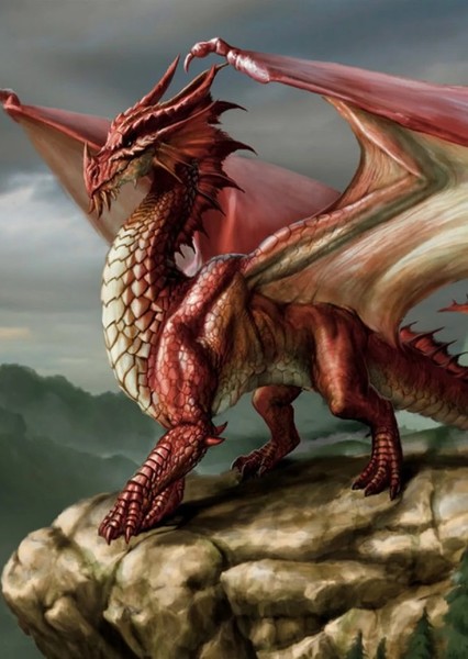 Dragon photo