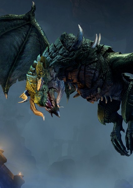 Dragon photo