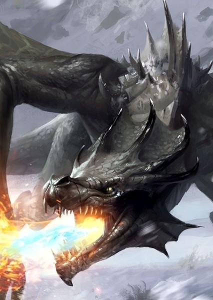 Dragon photo