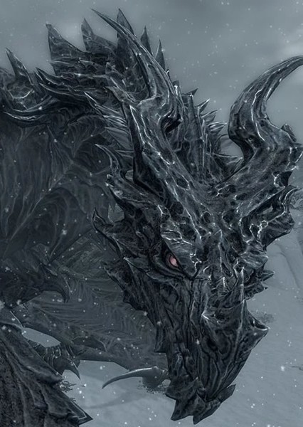 Dragon photo