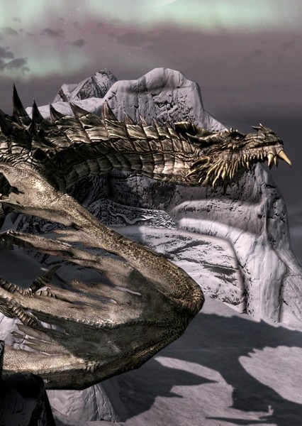Dragon photo