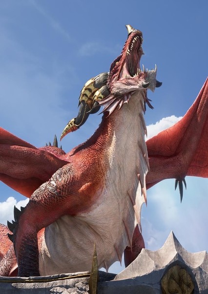 Dragon photo