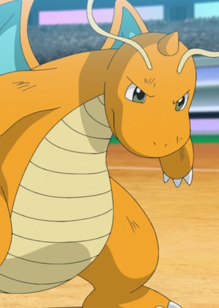 Dragonite photo