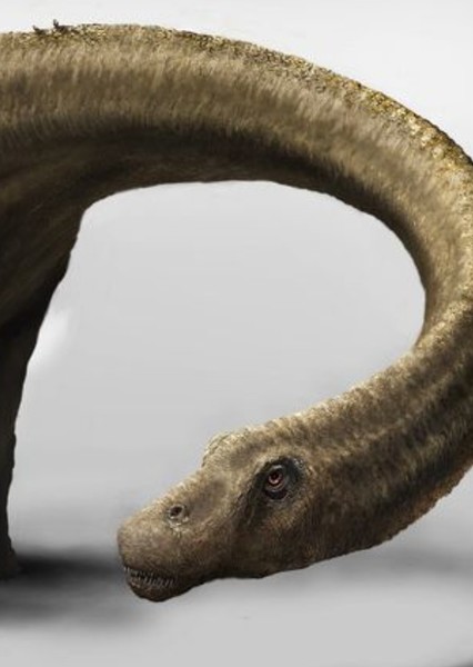 Dreadnoughtus photo