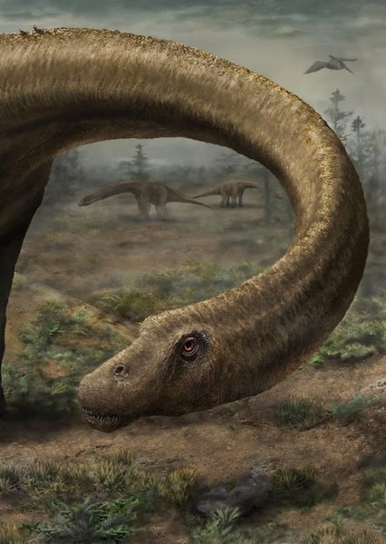 Dreadnoughtus photo