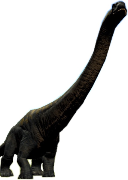 Dreadnoughtus photo