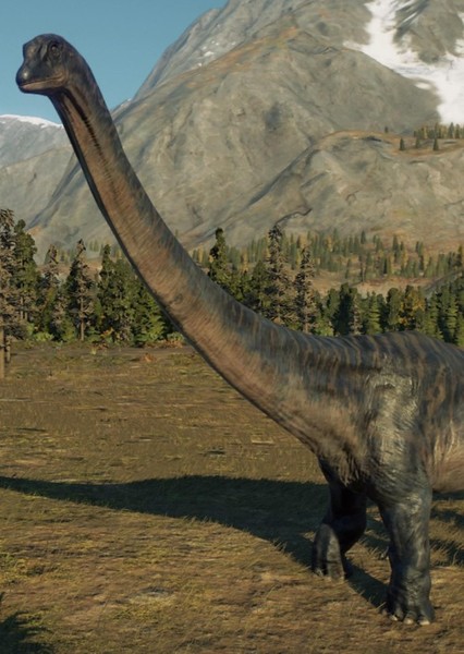 Dreadnoughtus photo