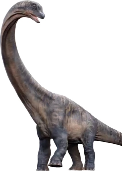 Dreadnoughtus photo