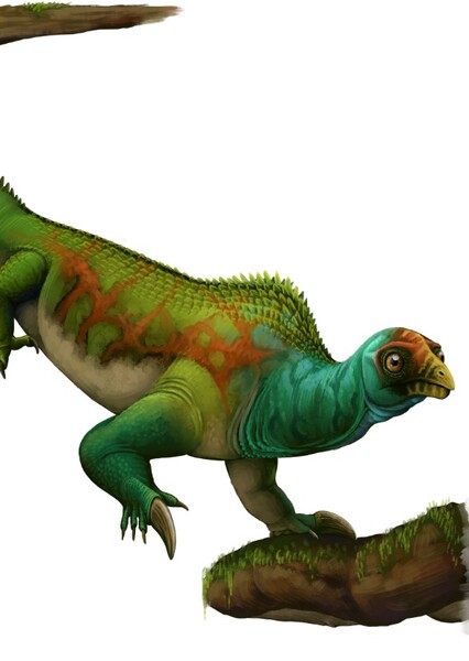 Drepanosaurus photo