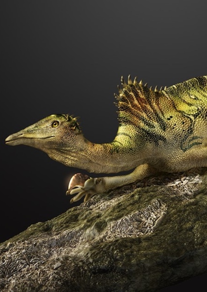 Drepanosaurus photo