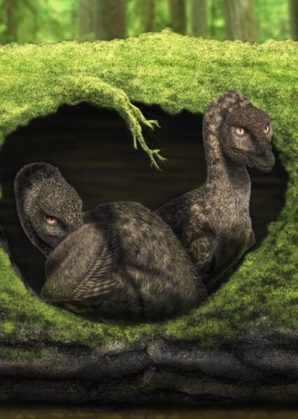 Dromaeosaur