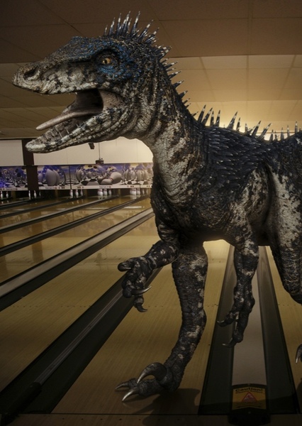 Dromaeosaurus photo