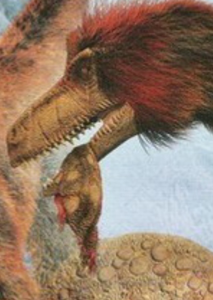 Dromaeosaurus photo