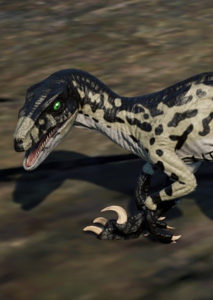 Dromaeosaurus photo