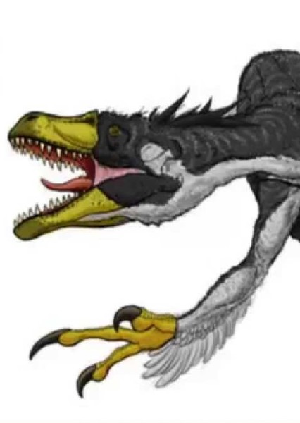Dromaeosaurus photo