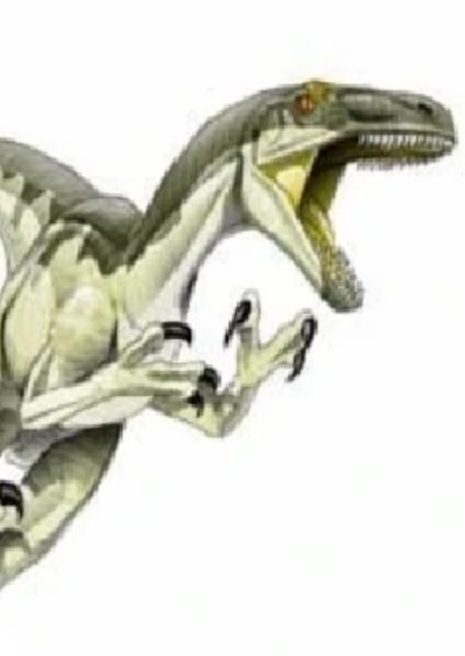 Dromaeosaurus photo