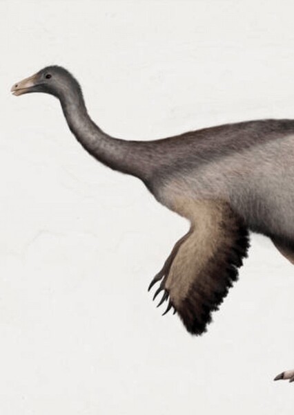 Dromiceiomimus