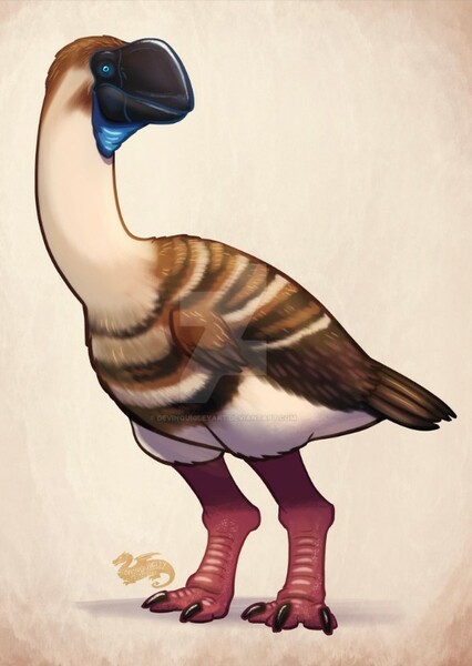 Dromornis photo