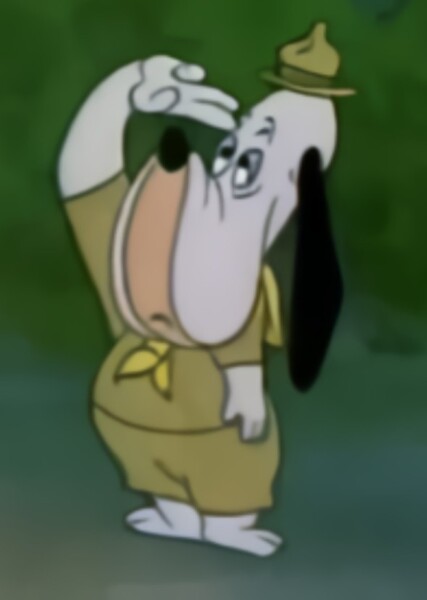 Droopy photo