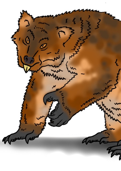 Drop Bear photo