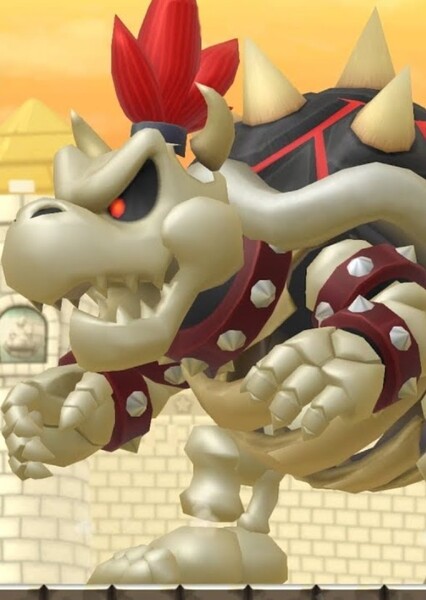 Dry Bowser photo