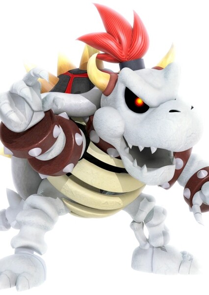 Dry Bowser photo