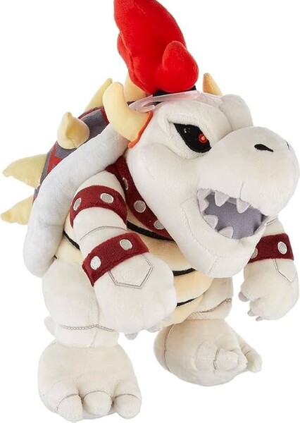 Dry Bowser photo