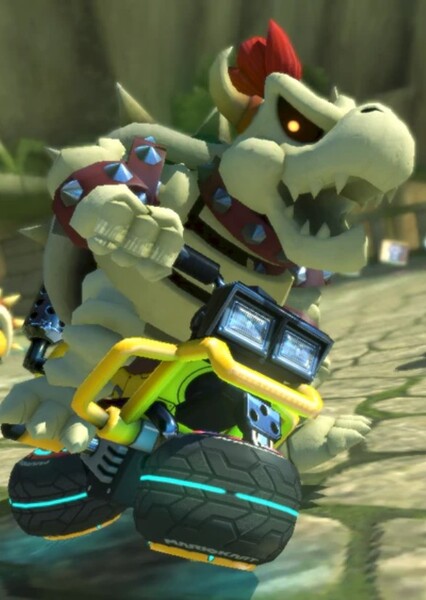 Dry Bowser photo