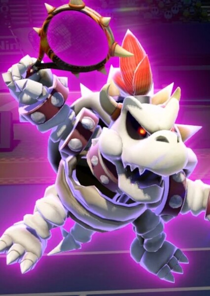 Dry Bowser photo